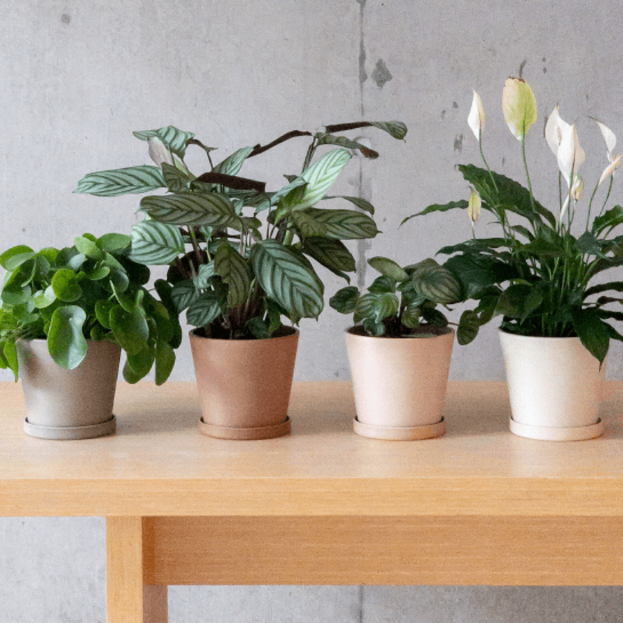taupe planter