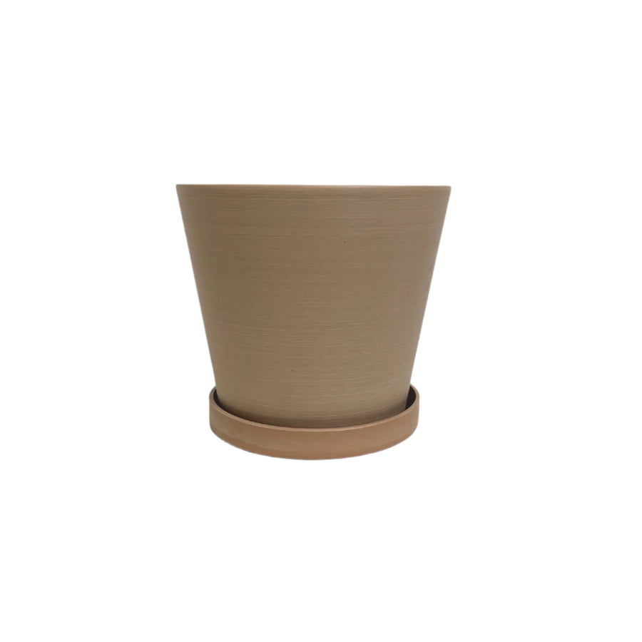 coral planter