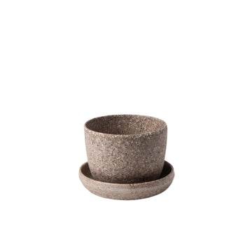 nut husk planter